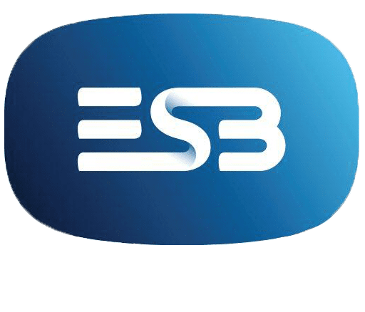 ESB Networks logo 2