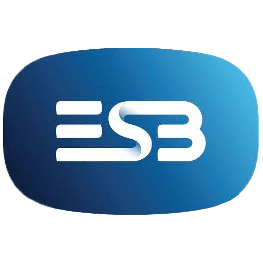 ESB Networks logo